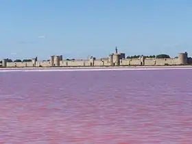Les remparts d'Aigues-Mortes.