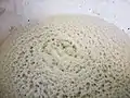 Levain de saccharomyces cerevisiae