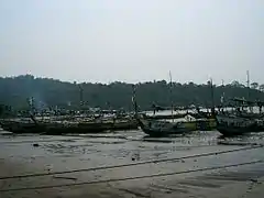 Pirogues camerounaise de Limbé