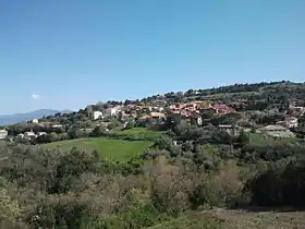 Llauro