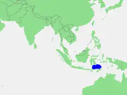 Carte de la mer de Florès.