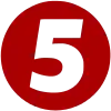 5logo