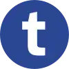 (Trambus)
