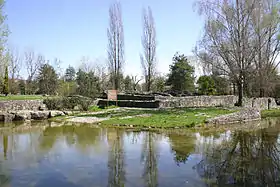 Image illustrative de l’article Lousonna