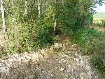 Le même endroit à sec.