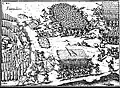 Lutte contre les Carios, 1545