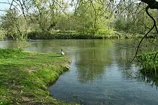 Le Loing à Moret-Loing-et-Orvanne, 100 m après la confluence avec le Lunain (à gauche de l'image).