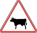 115.1Bétail
