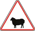 115.2Mouton