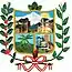 Blason de District de Huayopata