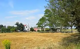 Milęcin