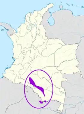 Image illustrative de l’article Witoto minica