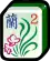 orchidée