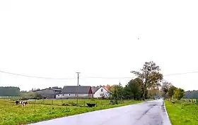 Lutkowo (Lelkowo)