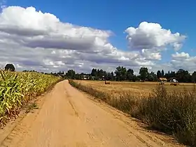 Mały Las