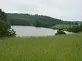 Bassin de Maaria.