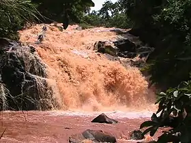 Chute Mazo’o de Bandeng