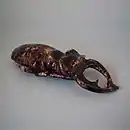 Scarabée en céramique