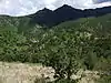 Cumbres de Majalca