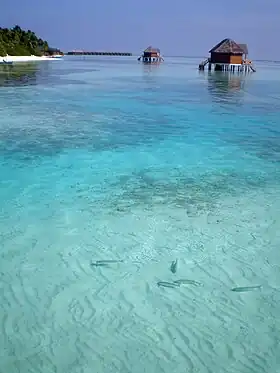 Meerufenfushi