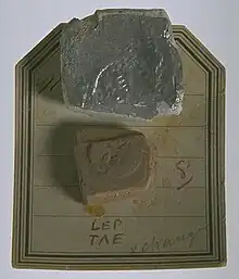 Photographie d'un fragment de céramique présentant une marque de potier et de ce qui semble être un moulage de cette empreinte. Les deux objets sont posés sur une feuille beige.