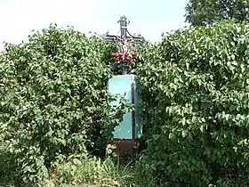 Marszewo (Śrem)
