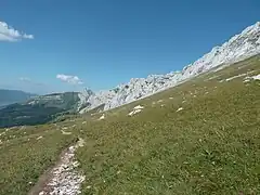 Les Arêtes de Gerbier (de près).
