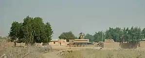 Mayahi