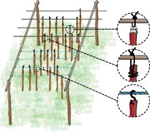 Schéma représentant le séchoir : deux barres parallèles reposent chacune, par leur extrémités, sur la fourche de piquets enfoncés dans le sol ; perpendiculairement à ces barres sont placées d'autres, bien espacées, formant les traverses de suspension pour les lanières de viandes qui sèchent sans se toucher. Sur la droite du schéma, des loupes mettent en évidence les différents modes d'accrochage des lanières.