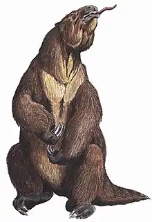Reconstitution d'un Megatherium
