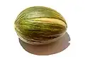 Melon Rochet.