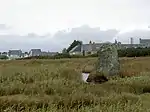 Le menhir de Lehan, dans son étang, Classé MH (1923).