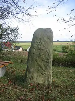 Image illustrative de l’article Menhir de Werkel