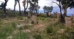 Image illustrative de l’article Menhirs des Terriers