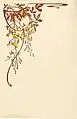 Menu vierge, 1901, Henri Bergé, Palais des ducs de Lorraine. Mention en bas à gauche "Menus Art Nouveau/Collection A. Bergeret et Compagnie".