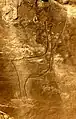 Merdoufa I, autruche (H: 92&nbsp;cm)
