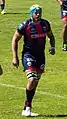 Mickaël Capelli