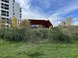 La micro forêt du parc Bühler en novembre 2023, 2 ans après la plantation