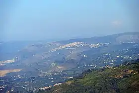 Militello Rosmarino
