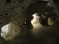 Minières néolithiques de silex de Petit-Spiennes.