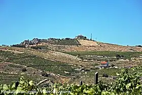 Seixas do Douro
