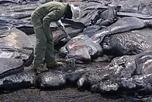 Photographie couleur d'un homme équipé de protections en cours de prélèvement sur une lave en phase de refroidissement.
