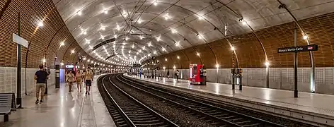 Voies et quais, sous la voûte du tunnel.
