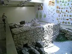 Vue du site.