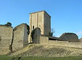 Le donjon de Moncontour.