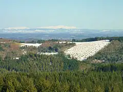 Vue sur le puy de Sancy depuis le mont Bessou.