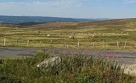 Image illustrative de l’article Col de Finiels