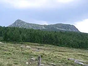 Vue des deux sommets du mont Mézenc : à gauche le sommet nord (1 744 m) et à droite le sommet sud (1 753 m)