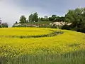 La colline au nord-est du village.