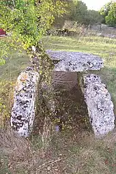 Dolmen de la Pierre Basse.